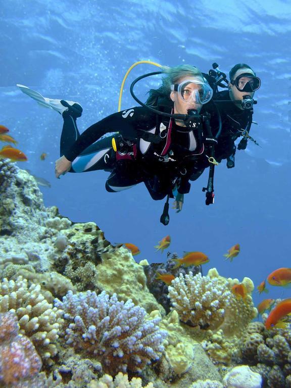 PADI Open Water Dive Course,984689743:JPEG